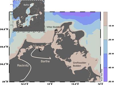 Seasonal Variation in Biomass and Production of the Macrophytobenthos in two Lagoons in the Southern Baltic Sea